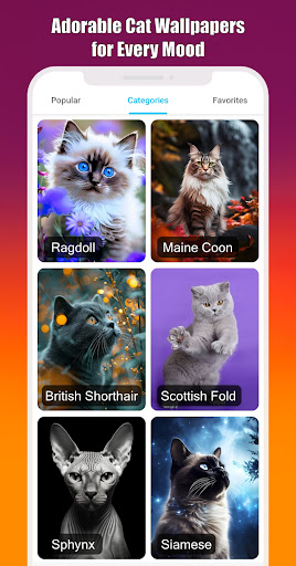 Cute Cats & Kittens Wallpapers ekran görüntüsü