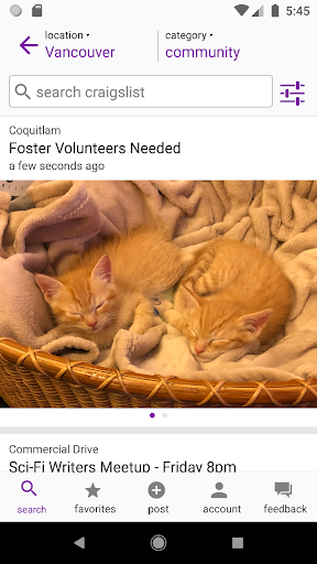 craigslist ekran görüntüsü