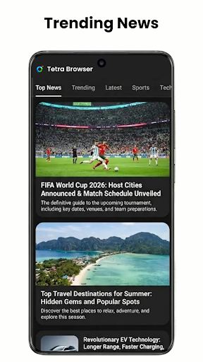 Tetra Browser & VPN ekran görüntüsü
