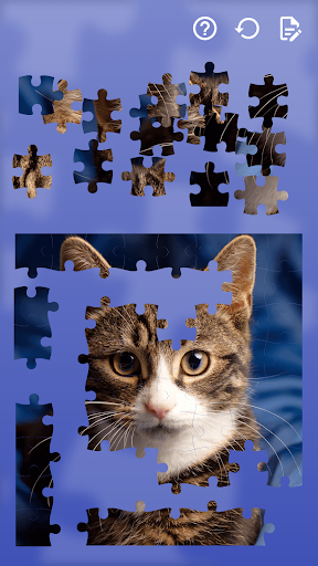 Jigsaw Puzzles Cars & Animals ekran görüntüsü