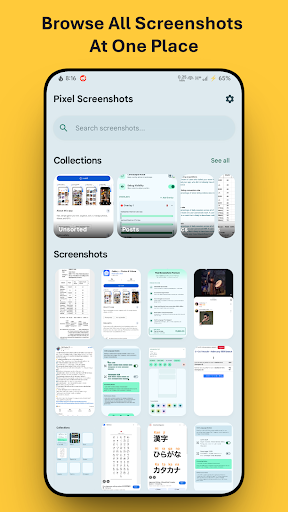 Pixel Screenshots ekran görüntüsü