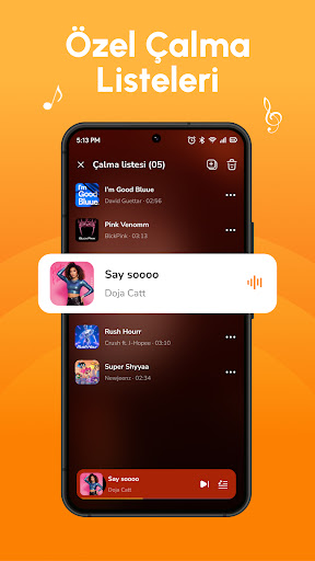 Çevrimdışı Müzik Audio Insigh ekran görüntüsü
