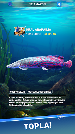 Fishing Travel ekran görüntüsü