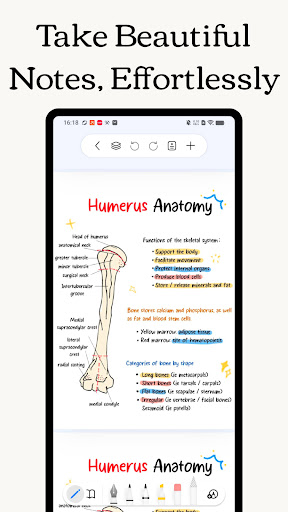 Freenotes - Notes Taking & PDF ekran görüntüsü