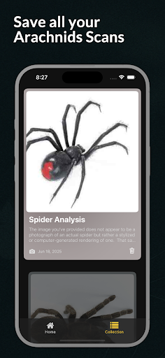 Spider Identifier Spider ID ekran görüntüsü