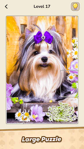Jigsolitaire Master Puzzle ekran görüntüsü