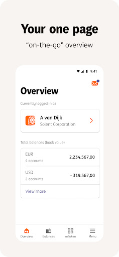 ING InsideBusiness ekran görüntüsü
