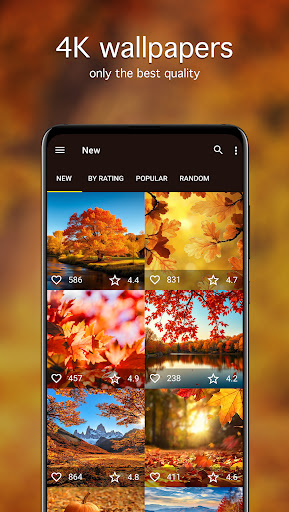 Autumn Wallpapers 4K ekran görüntüsü
