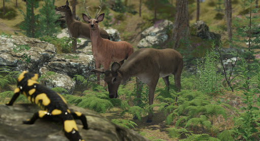 VR ZOO Safari Park Animal Game ekran görüntüsü