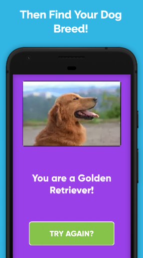 What Type Of Dog Are You? ekran görüntüsü