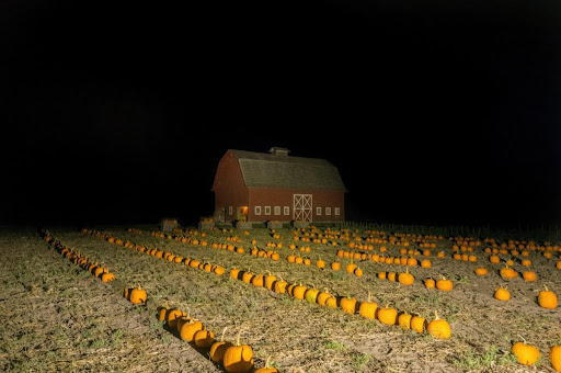 Pumpkinhead's Party: Horror ekran görüntüsü