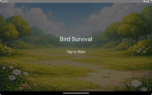 BirdSurvival ekran görüntüsü