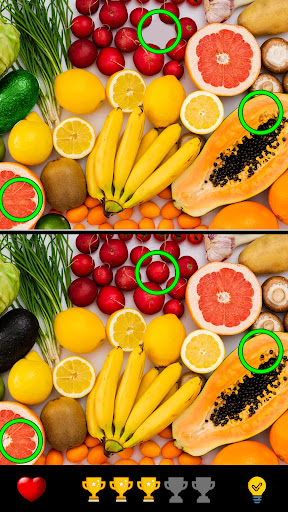 Find the Difference Game 1000+ ekran görüntüsü