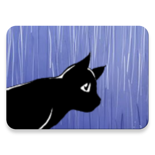 Cat in the rain
