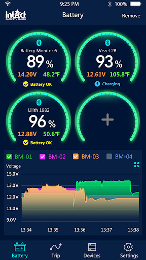 intAct Battery Check ekran görüntüsü