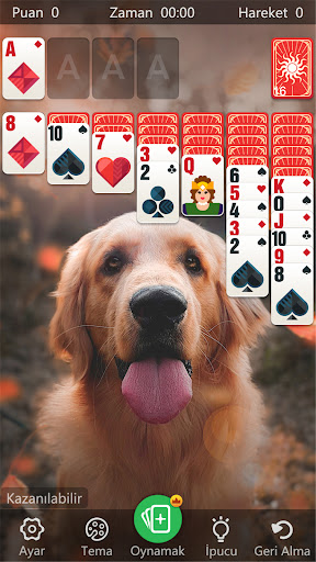 Solitaire Klasik Klondike ekran görüntüsü