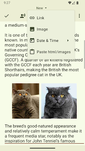 Text Editor ekran görüntüsü