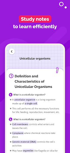 SchoolMouv - AI Tutor & Quiz ekran görüntüsü