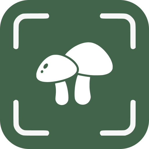 Mushroom Identifier