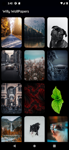 Willy Wallpapers ekran görüntüsü