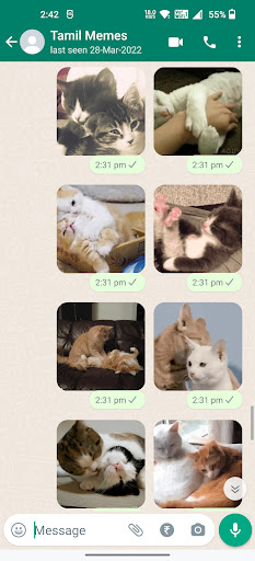 Cat Animated Stickers ekran görüntüsü
