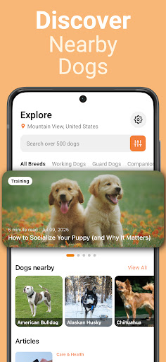 Dog Identifier - Scan with AI ekran görüntüsü