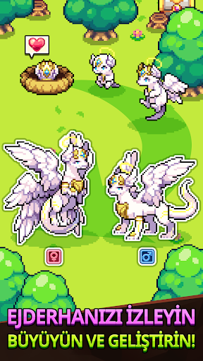 Dragon Village Collection ekran görüntüsü
