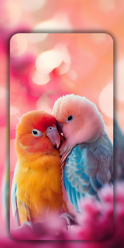 Birds Wallpaper in 4K ekran görüntüsü