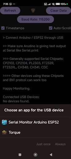 Serial Monitor Arduino ESP32 ekran görüntüsü