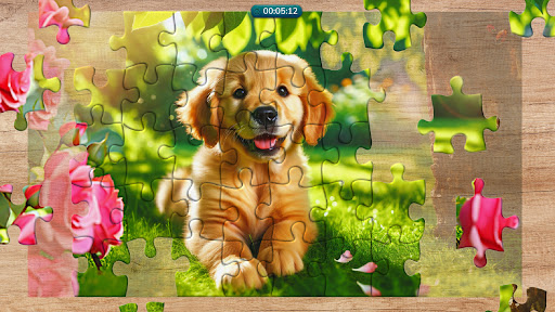 Cool Jigsaw Puzzles ekran görüntüsü