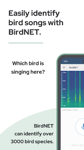 BirdNET ekran görüntüsü