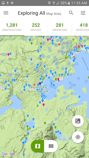 iNaturalist ekran görüntüsü