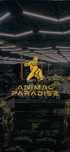 Animal Paradise Gym ekran görüntüsü
