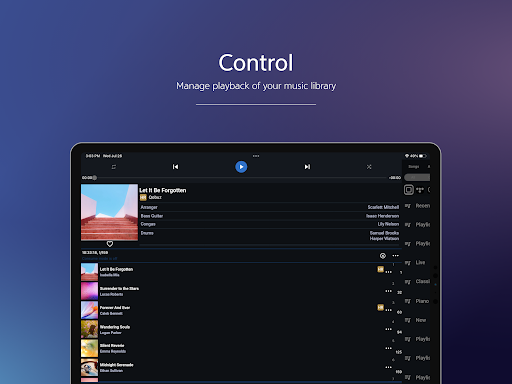 Aurender Conductor (Tablet) ekran görüntüsü