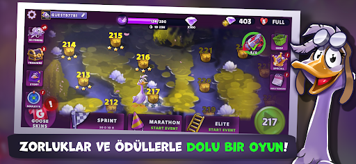 Wild Goose Game | Sally Macera ekran görüntüsü