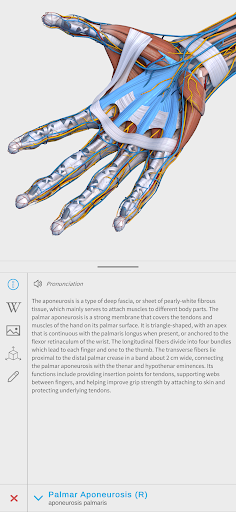Visual Anatomy 3D - Human body ekran görüntüsü