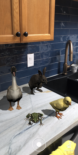 Animal Safari AR ekran görüntüsü