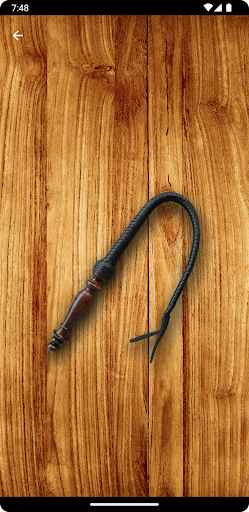 Whip Simulator - Pocket Whip ekran görüntüsü