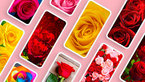Rose Wallpapers 4K ekran görüntüsü