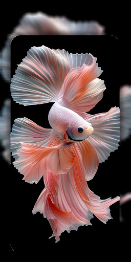 Betta Fish Wallpaper 4K ekran görüntüsü
