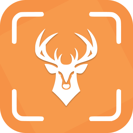 Animal Identifier