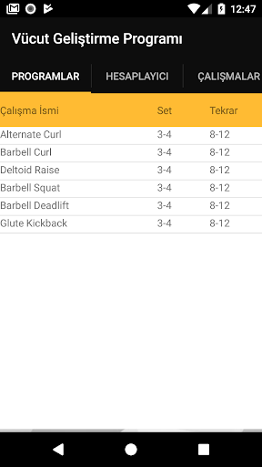 Vücut Geliştirme Programı ekran görüntüsü