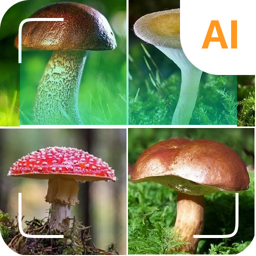 Mantar tanımlayıcı