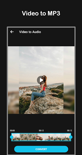 Video dönüştürücü ekran görüntüsü