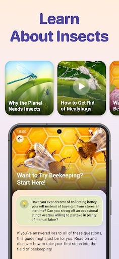 Bug ID - Insect Identifier ekran görüntüsü