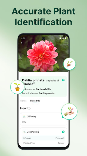 ArtReel - AI Plant Identifier ekran görüntüsü