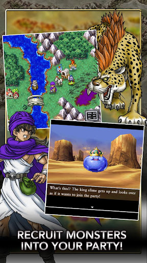 DRAGON QUEST V ekran görüntüsü