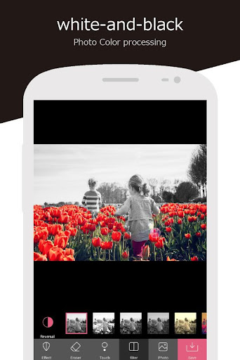 Monochrome Tek Renkli Renk ekran görüntüsü