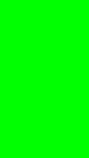Green Screen Pro - Chroma Key ekran görüntüsü