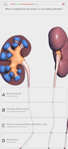 Visual Anatomy 3D - Human body ekran görüntüsü